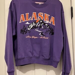 Pre-❤️ H&M Purple Alaska Graphic Women's Sweater